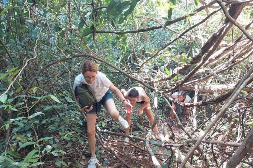 Small-Group Jungle Hiking Excursion in Khao Phra Teaw Park