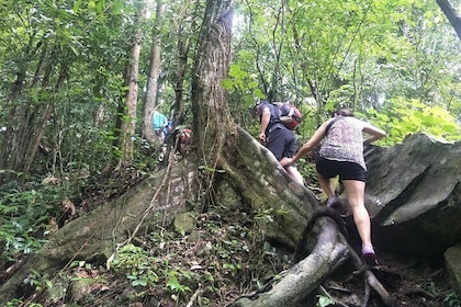 Excursión de senderismo en la jungla para grupos pequeños en el parque Khao...