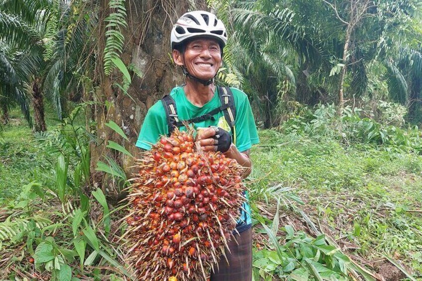 Koh Yao Noi Cycling and Beach