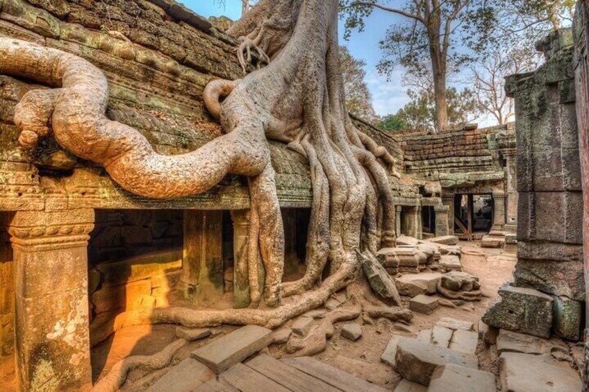 Angkor Sunrise tour by Bike with breakfast, lunch & Tour Guide