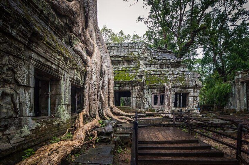 Ta-Prohm Tree Temple