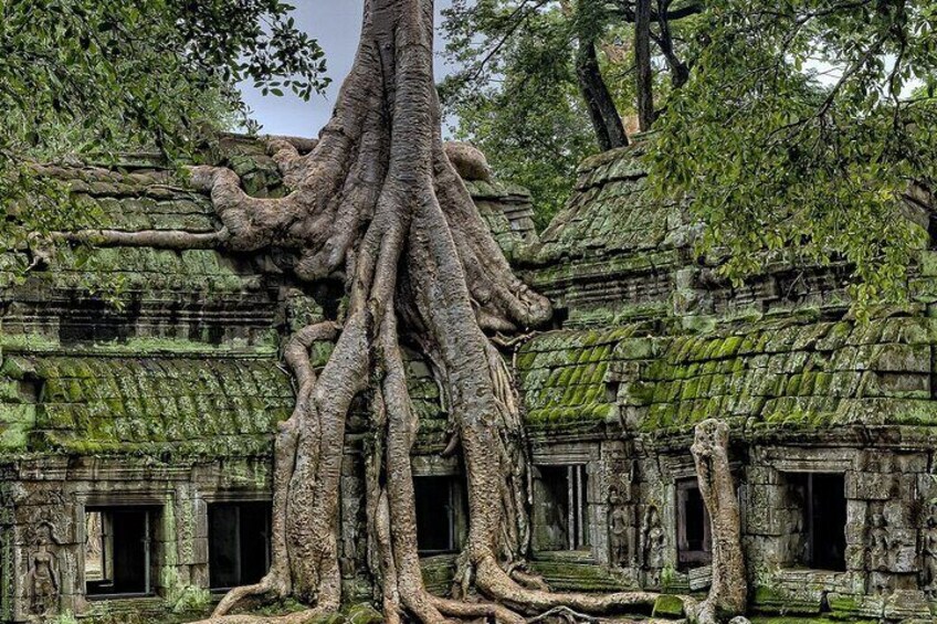 The Angkor Temples from Sunrise by Tuk Tuk