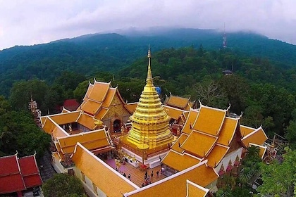 Chiang Mai City Tour with Doi Suthep and View Point (SHA Plus)