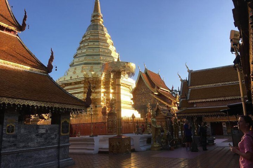 Doi Suthep temple, Alms to monks, Hidden temple & Chiang Mai city views.