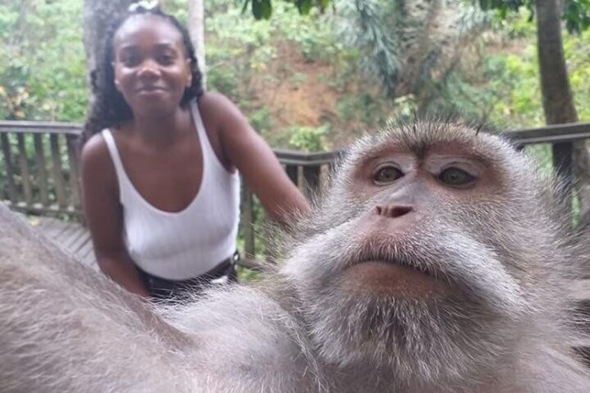 Ubud Bali Monkey Selfie
