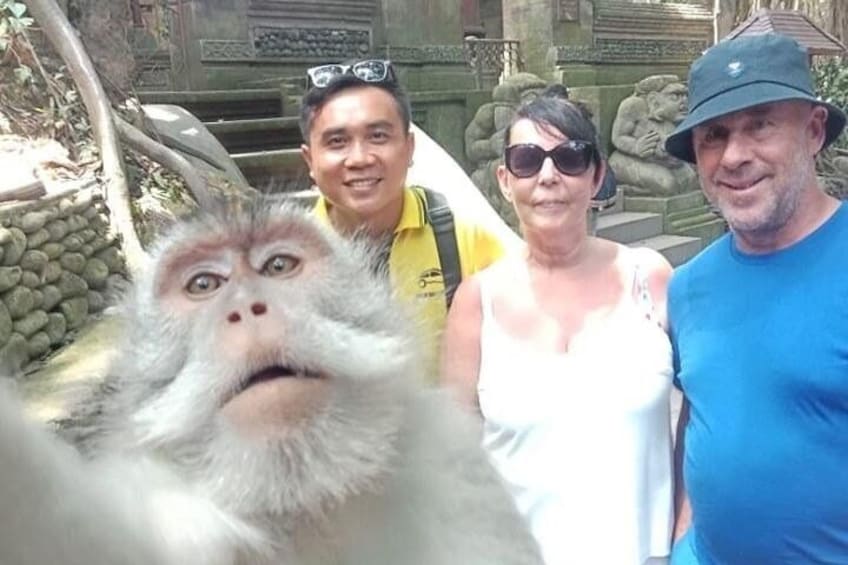Ubud Bali Monkey Selfie