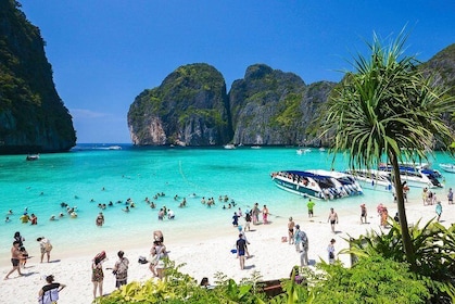 Phi Phi Island Tour by Speedboat from Krabi including Lunch (SHA Plus)
