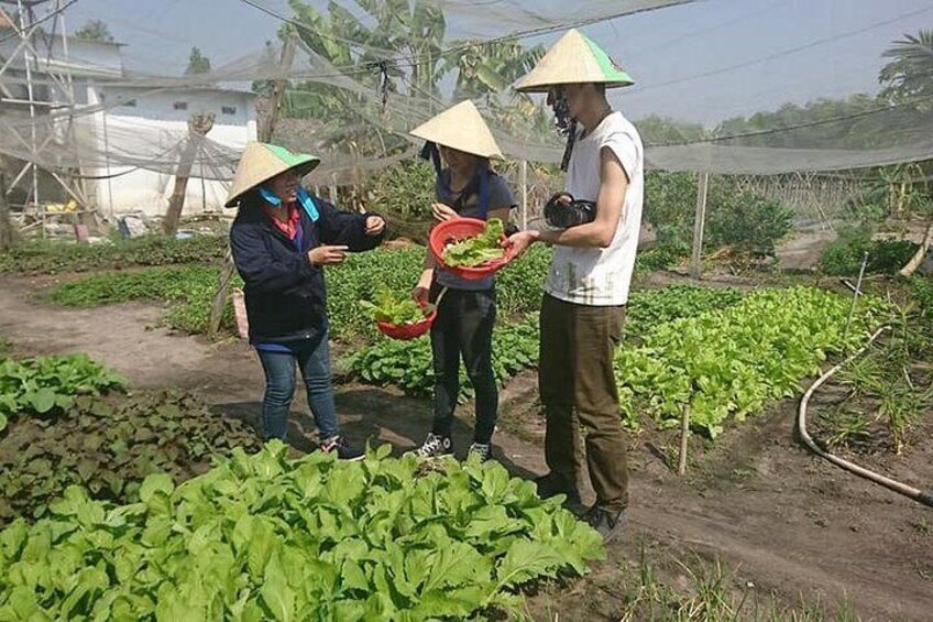 Ho Chi Minh City Full-Day Farm trip with Healthy Cooking Class