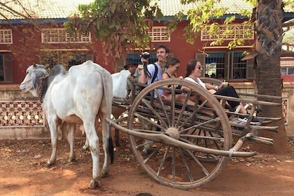 Savour the Countryside: Tours with Authentic Cooking Classes"