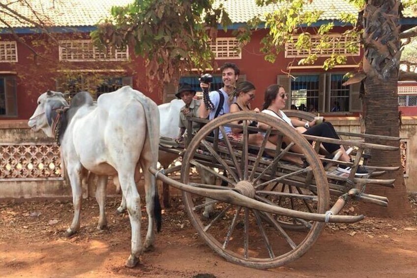 Ox Cart ridding 