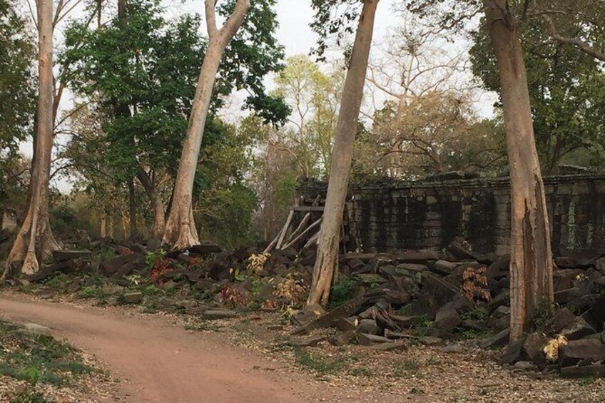 Show item 3 of 7. Spot and discover the hidden, mysterious ruins