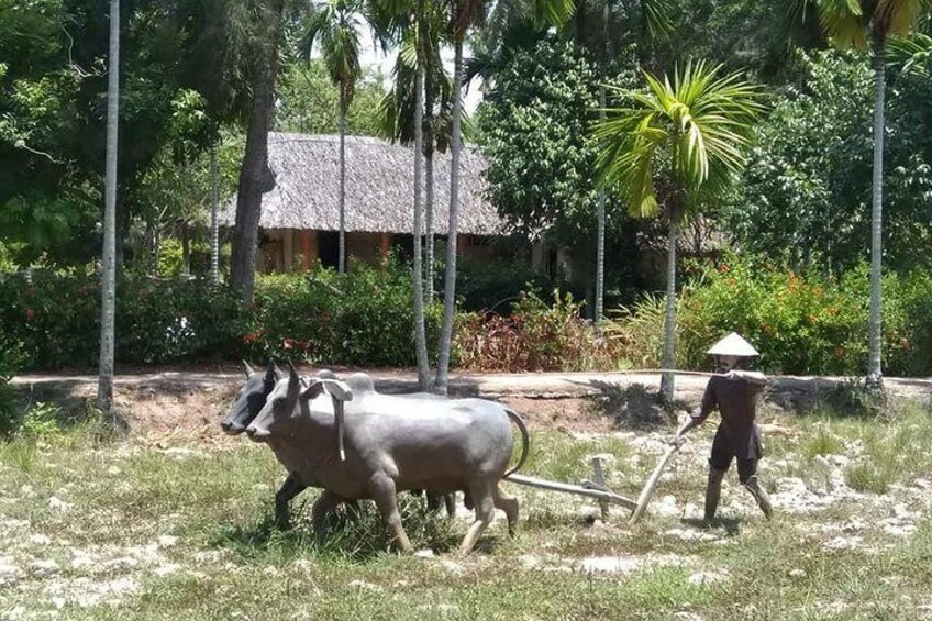 MY LAI MASSACRE Tour from Hotel in Da Nang City or Hoi An City ( Private Tour )