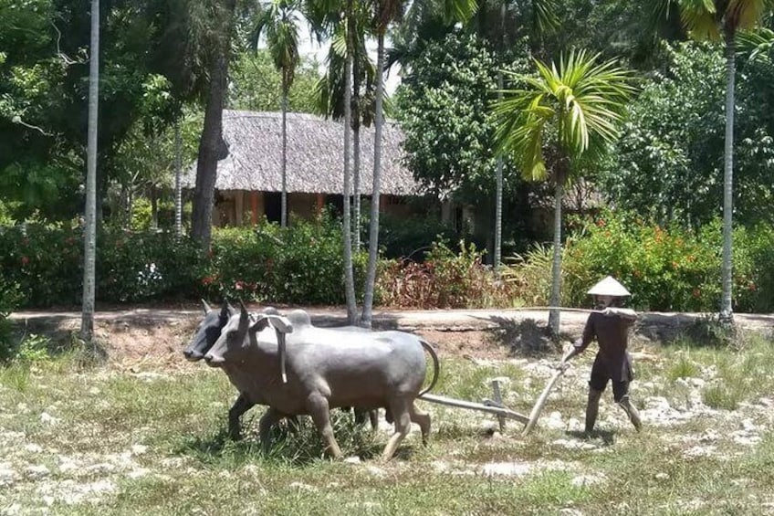 MY LAI MASSACRE Tour from Hotel in Da Nang City or Hoi An City ( Private Tour )