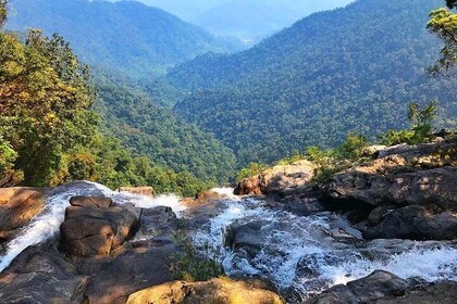 Bach Ma National Park 2-Day Trekking Private Tour