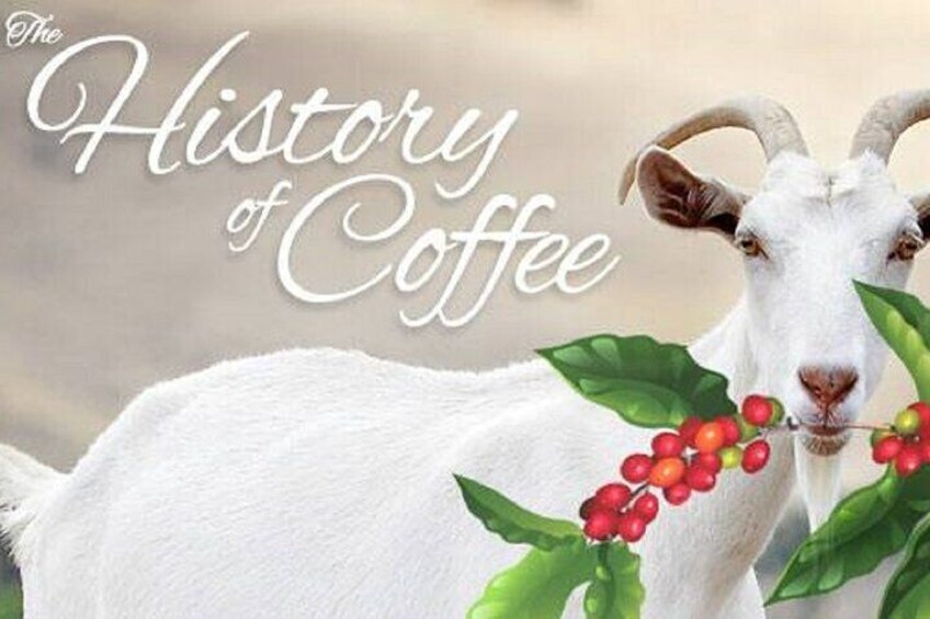 Vietnamese Culture and Coffee Making Class