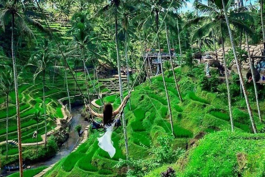 ★ BALI INSTAGRAM TOUR ★ Private Tour with Wifi onboard