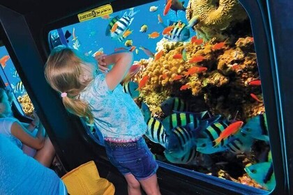 Royal Sea Scope Semi Submarine - Marsa Alam