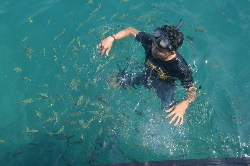 A Full Day 4 Islands Koh Ngai, Mook, Kradan,Chueak From Lanta (By Speed boat)