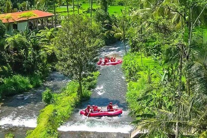 Bali White Water Rafting and Ubud Village Tour : It's All About Ubud