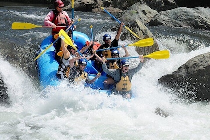 Ayung River Rafting and Tanah Lot Sunset Tour