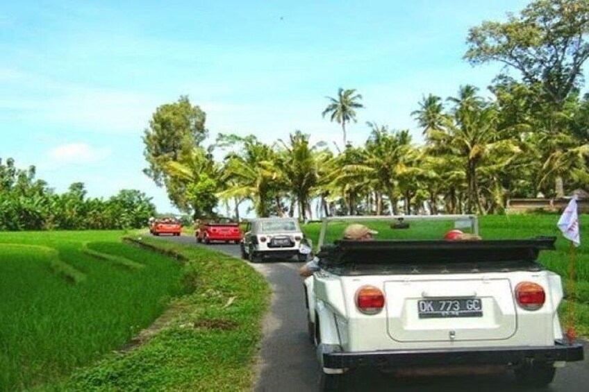 VW Safari Bali Tour - A unique way to explore Ubud culture