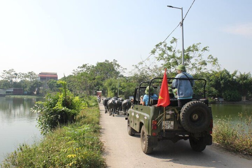 Hanoi Jeep Tours \ Vietnam Jeep Tours \ Jeep Tours Hanoi