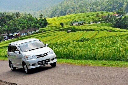 Private Car Charter - EXPLORE BALI WITH YOUR ITINERARY for 10 HOURS PER DAY