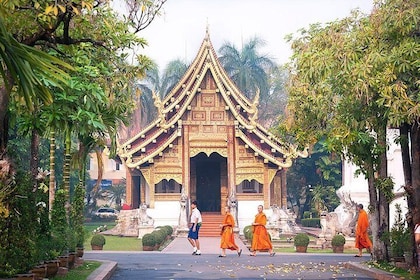 An Early Morning Mingle in Chiang Mai