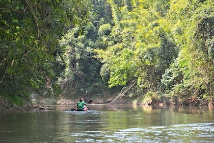 Full Day The Lost Zone Amazon and Old Town including Lunch from Khao Lak