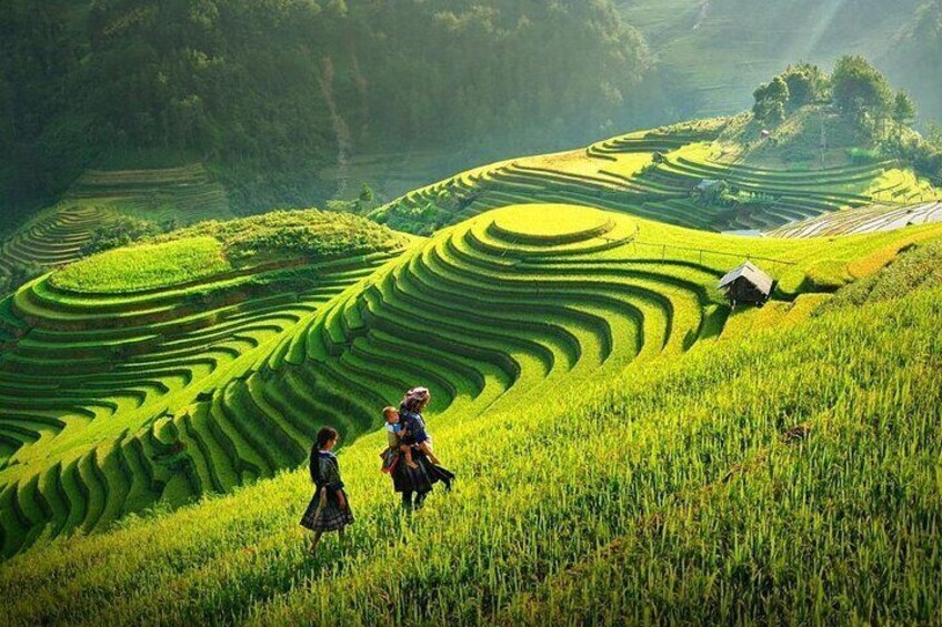 Amazing Sapa: Fansipan Legend Cable Car & Sapa Trekking - All Inclusive 1 Day