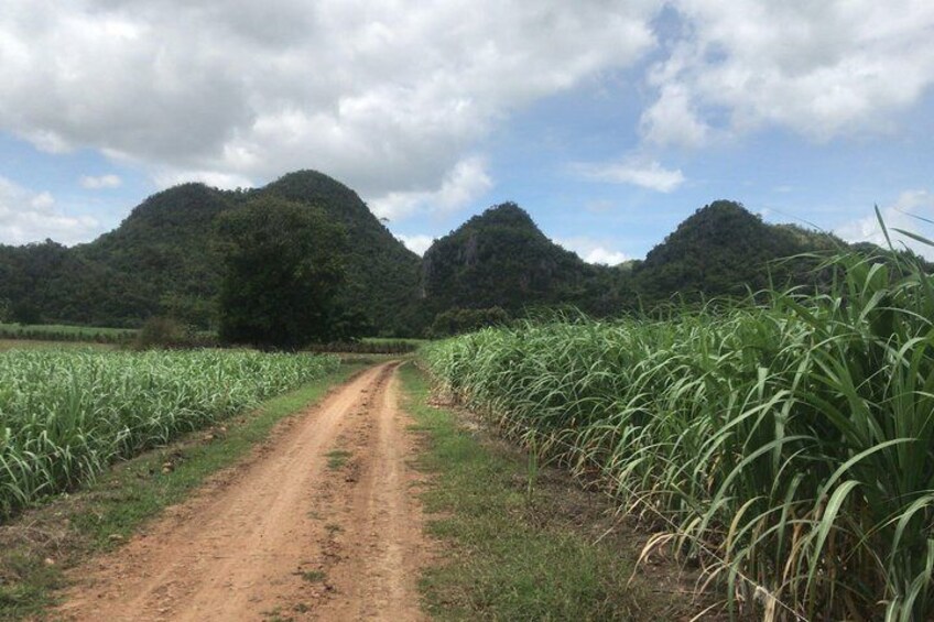 Beautiful rural Kanchanaburi