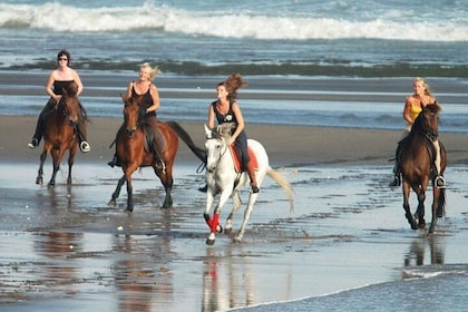 Bali Horse Riding 30 Mins At Black Sand Beach In A Private Tour!