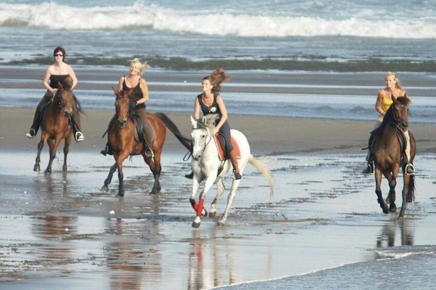Horse riding at black sand beach