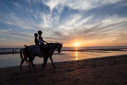Horse Riding on the Black Sand Beach and Free Hotel Transfers