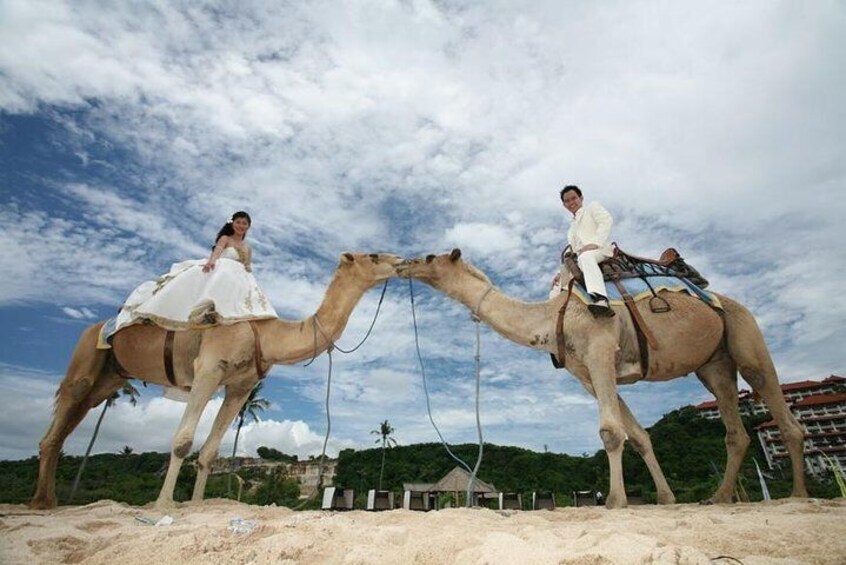 bali camel safari