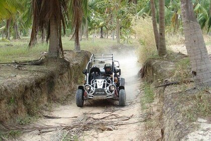 Pattaya Small Buggy Cart Riding