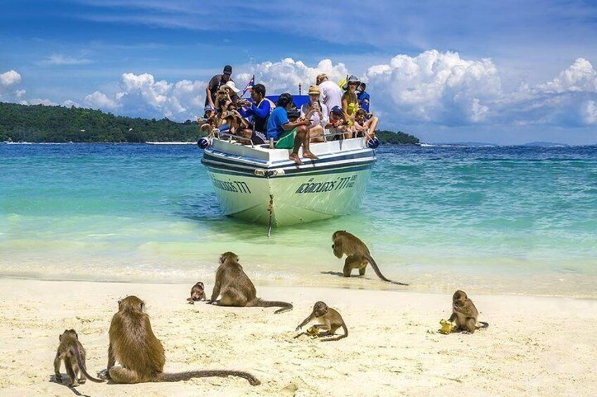 Phi Phi Island Tour by Royal Jet Cruiser from Phuket including Buffet Lunch