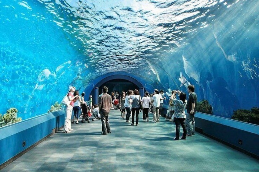 Underwater World at Pattaya Admission Ticket with Return Transfer