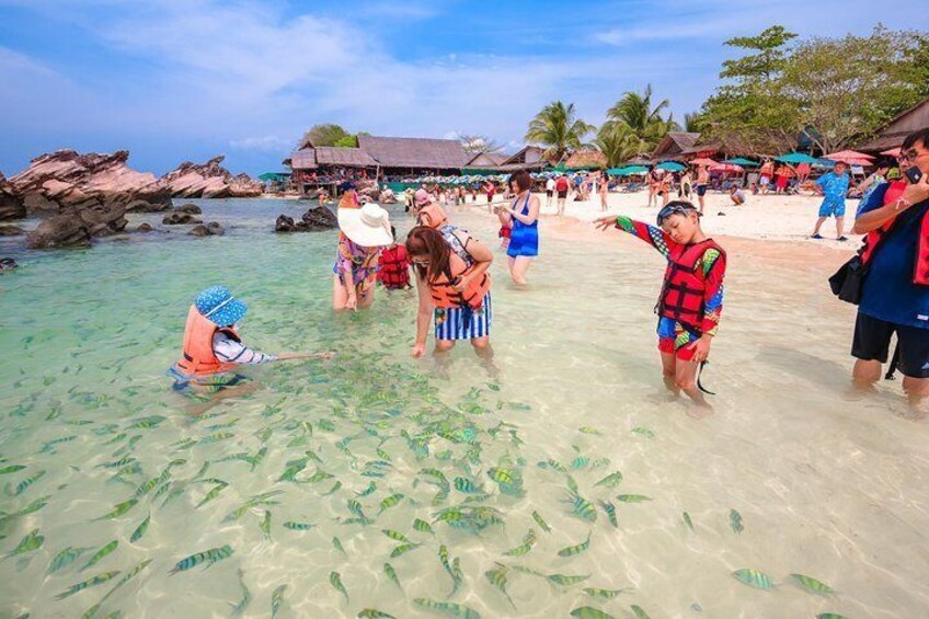 Half of snorkeling and swimming, this trip is a great outing for the whole family