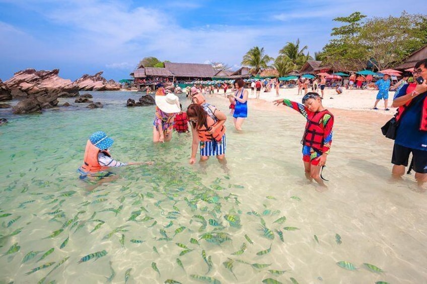 Half of snorkeling and swimming, this trip is a great outing for the whole family