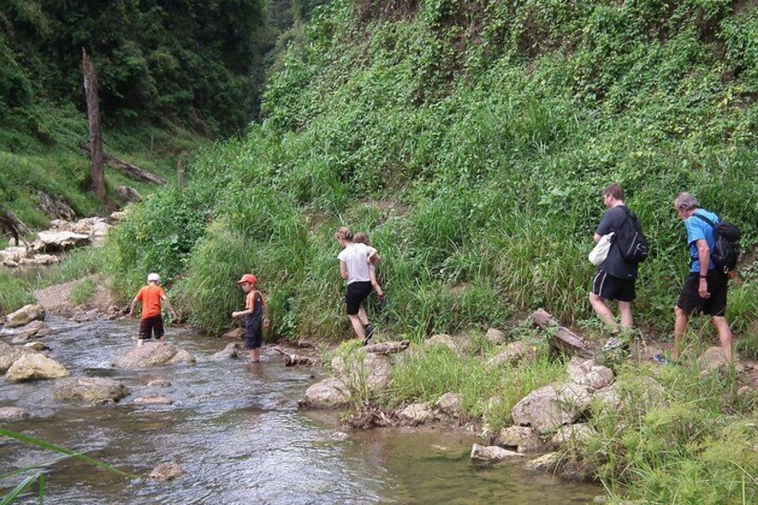 Khao Sok National Park Jungle Safari Full Day Tour from Phuket