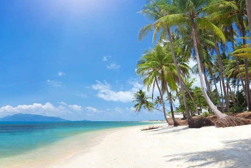 You will see different stunning beaches and panoramic views of Samui from the sea