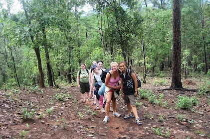 2D1N Mae Wang National Park Jungle Trekking Adventure from Chiang Mai