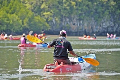 Ao Thalane Bay Sea Kayaking Adventure from Krabi (SHA Plus)