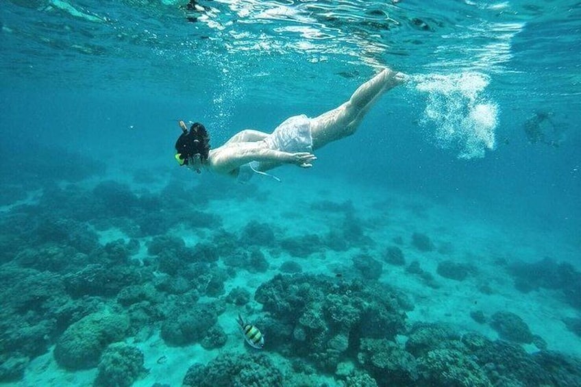 Experience snorkeling at the Island