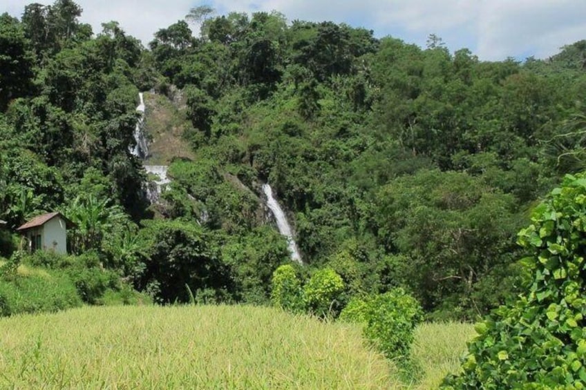 Private Lombok Cycling Tour : Rice Field, Plantations to Kerta Gangga Waterfall