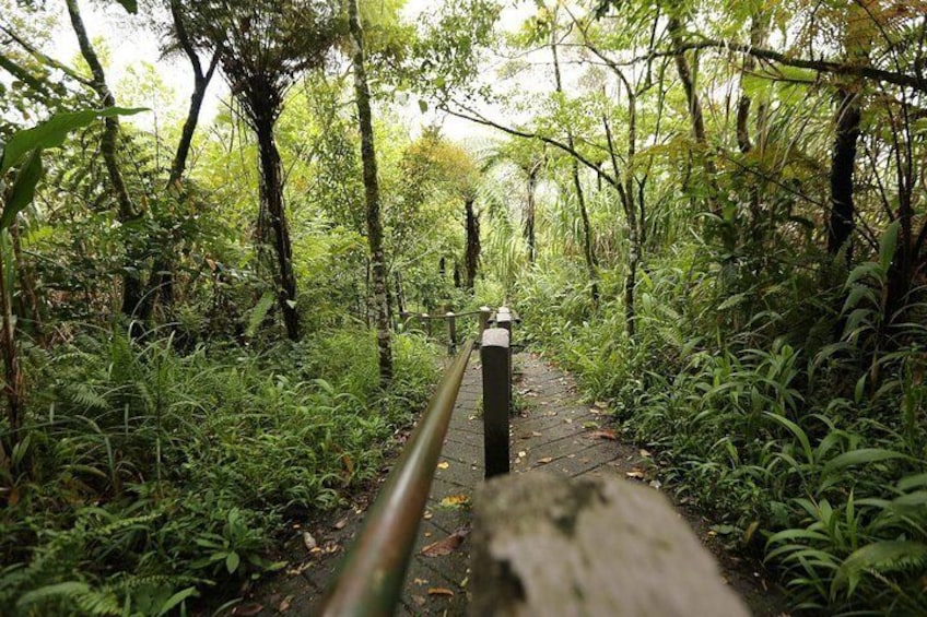 Private Sulawesi Trekking Mount Mahawu & Lokon from Manado