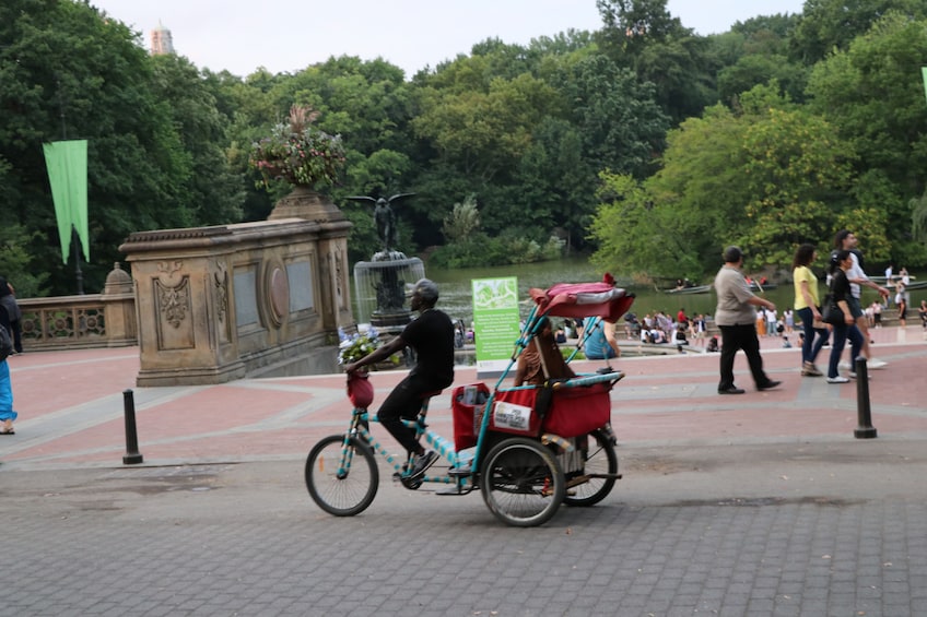 New York City: Pedicab Tour through Central Park (60 Min.)