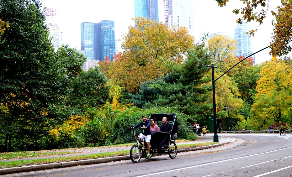 New York City: Pedicab Tour through Central Park (60 Min.)