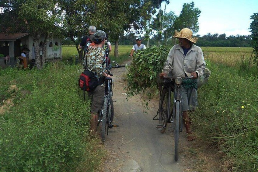 Lombok Cycling Tour: Tempos Rice Field, Hand Weaving Village & Pengsong Temple